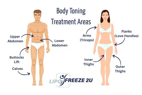 Graphic showing where you can have Body toning Treatment Worcestershire on your body